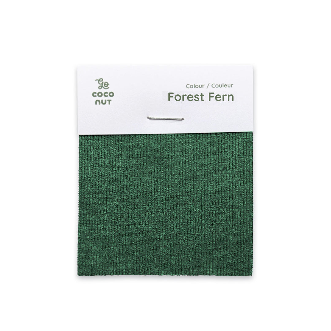 #color_forest-fern