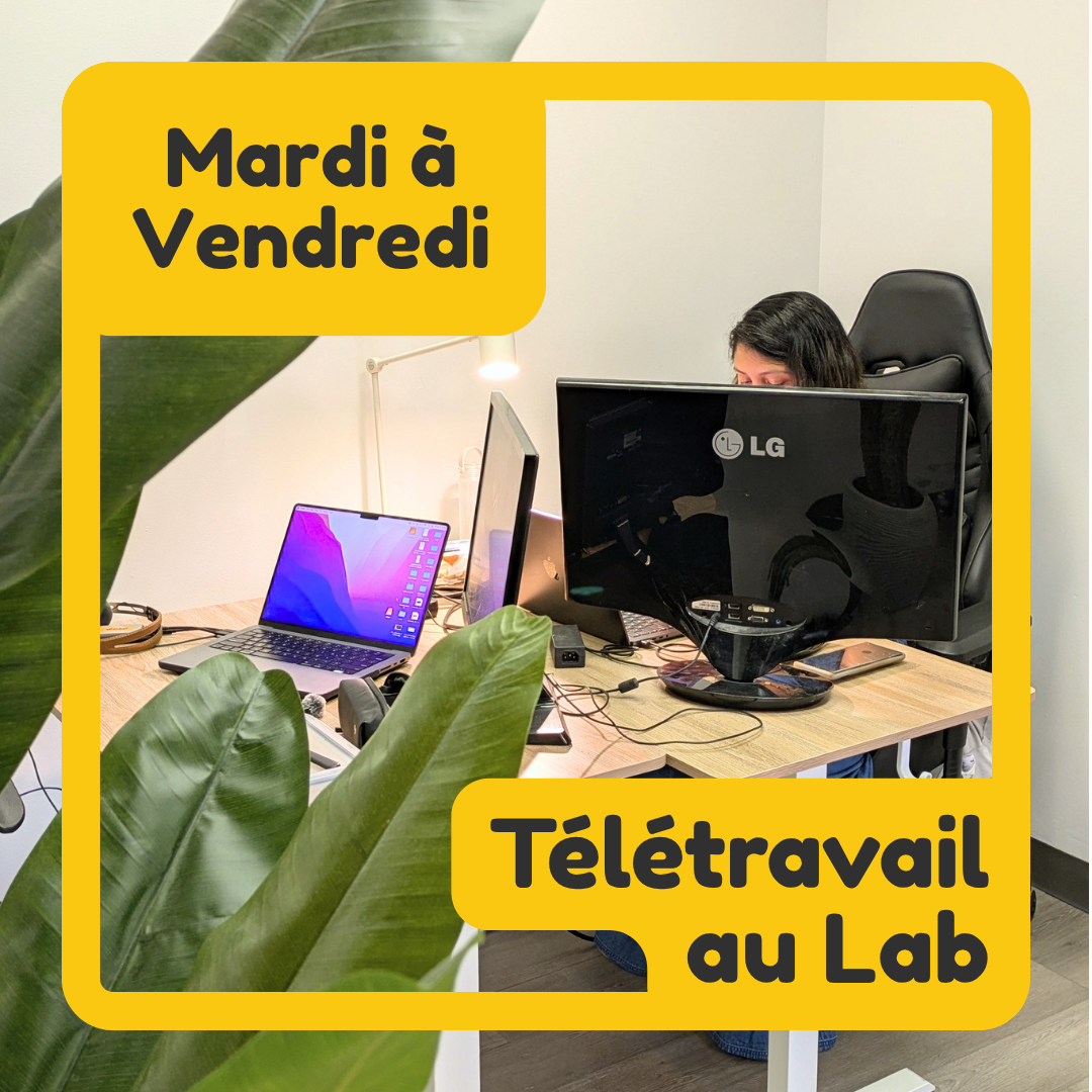 Télétravail au Lab