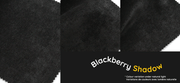 The Coconut / Blackberry Shadow